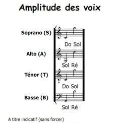 Basse à tessiture étendue — Wikipédia