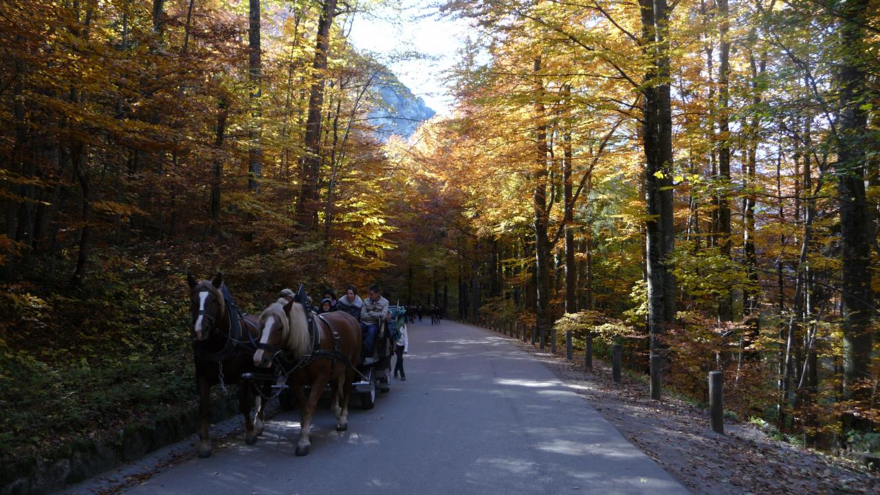 Harmonia octobre 2011 - Voyage en Bavière